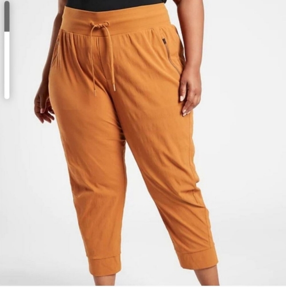 Athleta Trekkie North Joggers Cattail Brown - Size 22 - Picture 1 of 8
